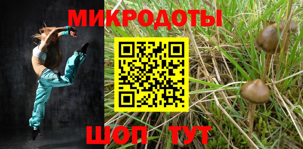 Алатырь  Галлюциногенные грибы прущие грибы  Вход с VPN 