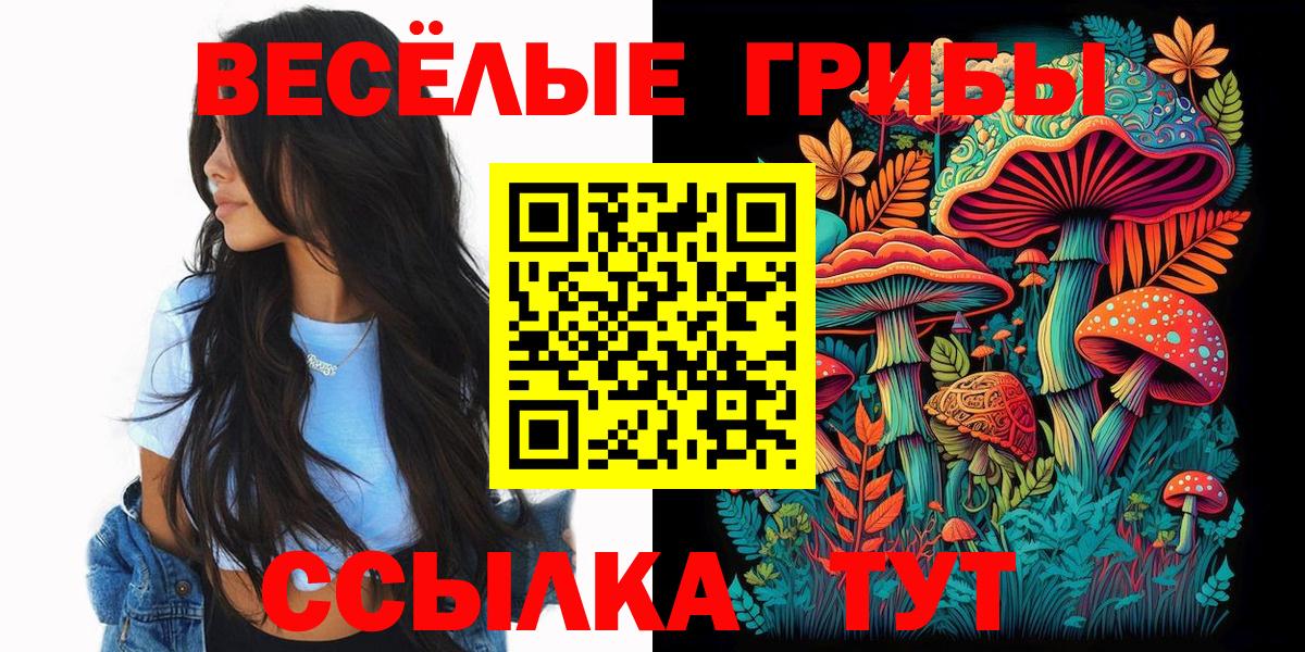 Галлюциногенные грибы GOLDEN TEACHER Алатырь